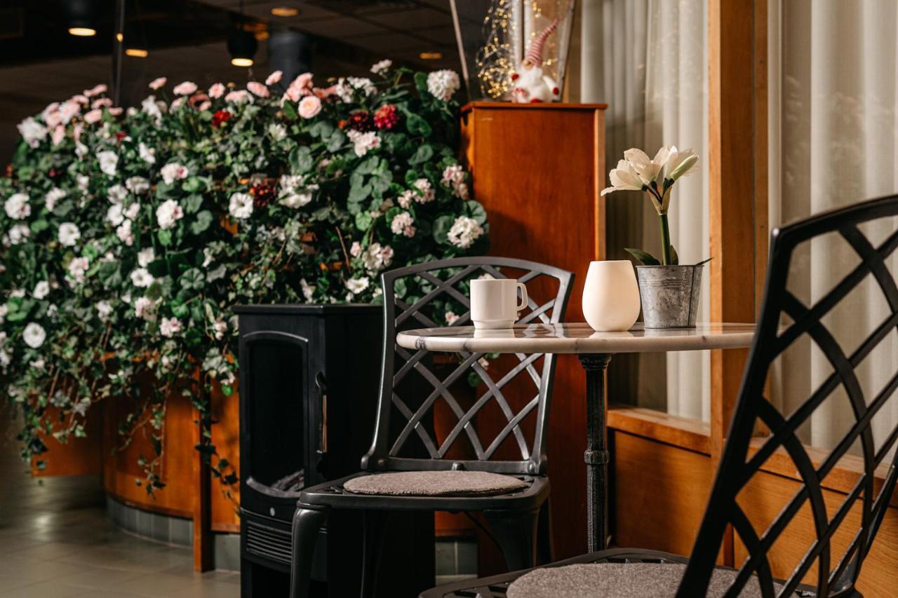 Hotell Bjoerken أوميو المظهر الخارجي الصورة